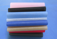 巴塘涤纶（PET）无纺布是什么