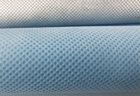 巴塘(PP)丙纶无纺布跟(PET)涤纶无纺布的区别